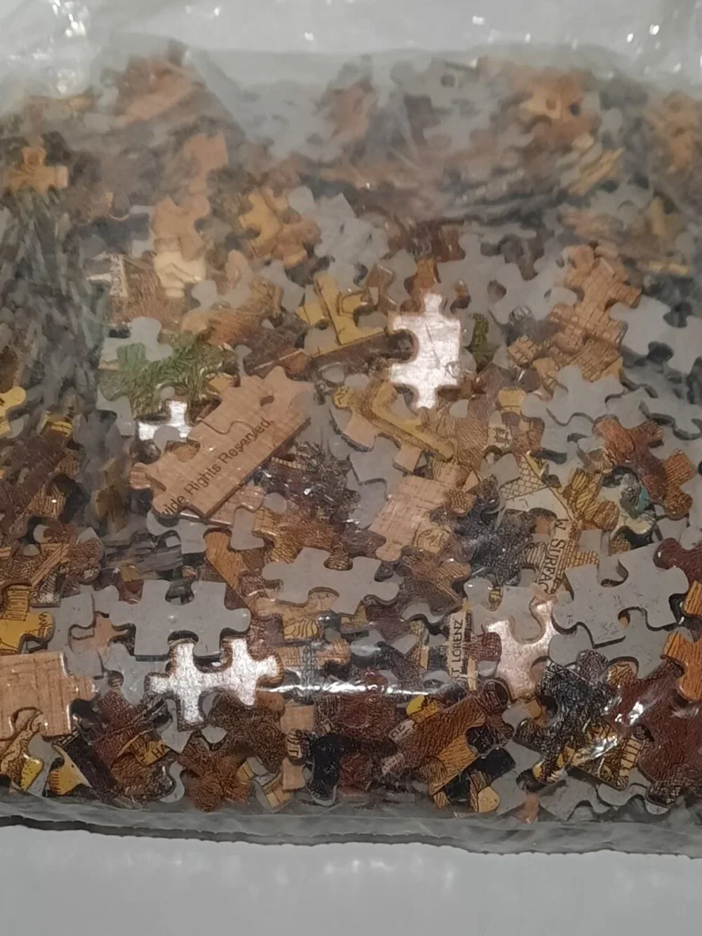 Buried Blueprints King Solomon's Mines 1000 Pc Puzzle Albert Lorenz Open Box